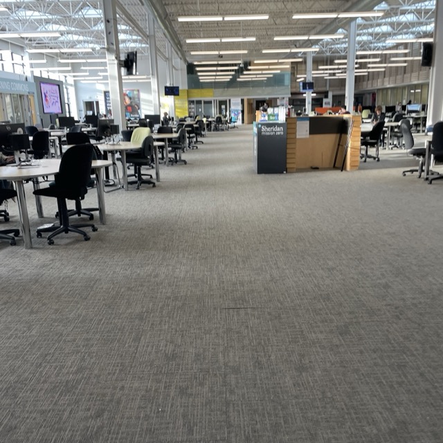 The learning commons at sheridan on a quiet sunday the big open room and all the carpet dampened any conversation