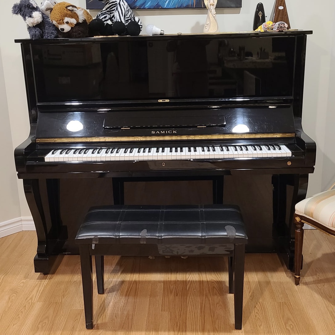 a small snippet of me playing piano at home. This one is loud.I tried to take a small snippet from the most intresting section.