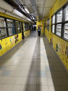 This is an indoor enviorment referred to as the art hall. It is a hall constructed of tile and presumably brick, concrete, or drywall, and many layers of paint over the years. it is located between the c wing and S wing right beside residence one. It is painted a fresh bright colour every year so that students can draw paint and illustrate on the walls. The purpose of the space is to promote community and creativity in the sheridan community.