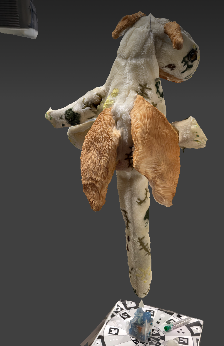 a proper scan of the first stuffed animal, named lichen, this time hanging up and properly lit